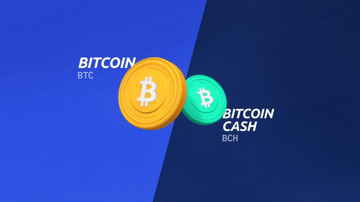 What do I need to know about Bitcoin Cash? | PayPal GB