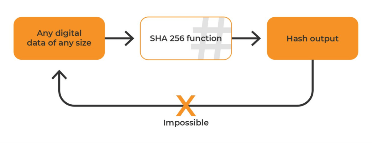 Bitcoin (BTC) SHA | Mining Pools