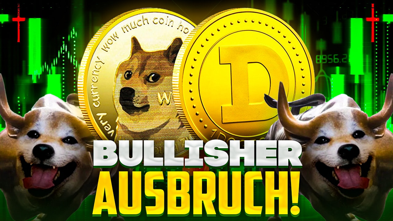 Dogecoin (DOGE) kaufen Ja/Nein? ➡️ Kurs & Prognose