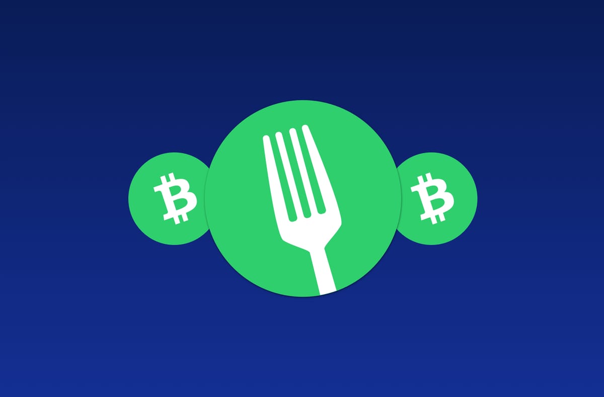 Bitcoin Cash explained: BTC hard fork for faster transactions | CoinLoan Blog