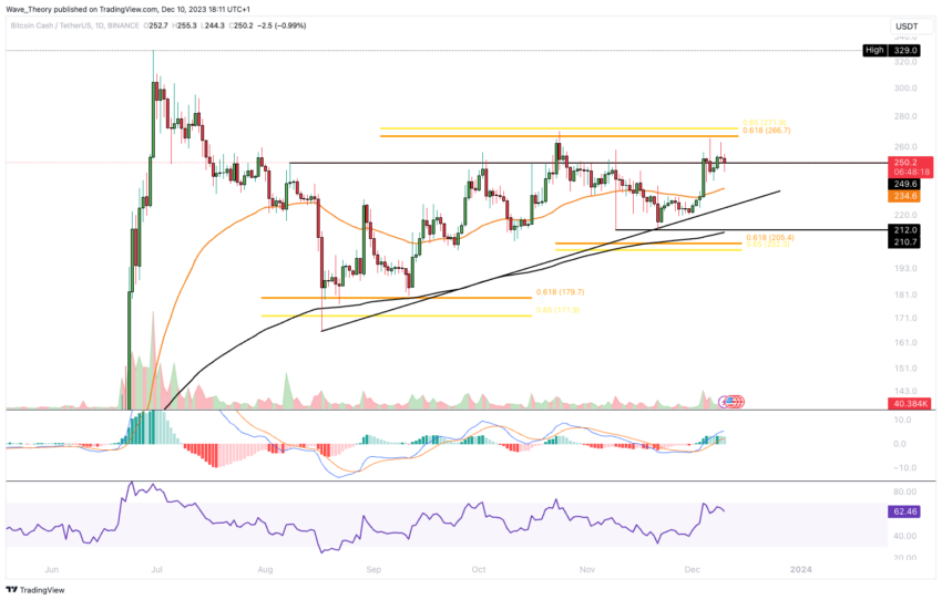 Bitcoin Cash information, price for today and BCH market cap