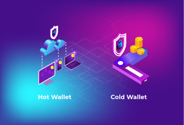 Hot vs. Cold Crypto Wallet: Pros and Cons