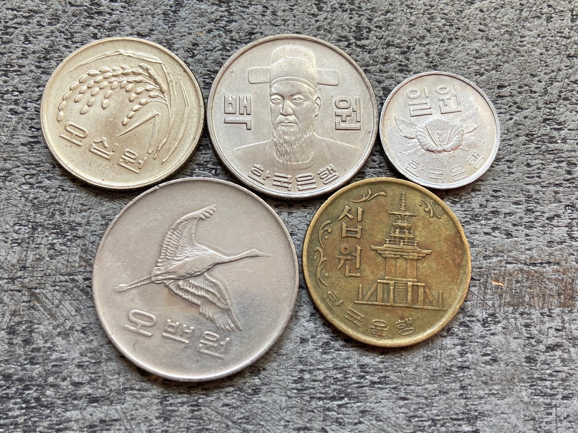 Korean Currency: South Korea's Money Bills and Coins