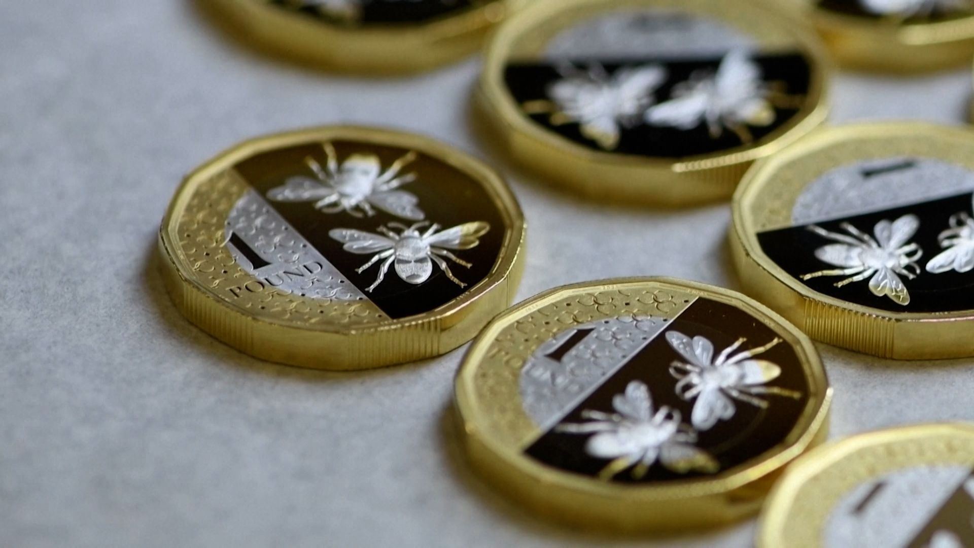 New Royal Mint coins celebrate the King's passion for nature and wildlife | UK News | Sky News