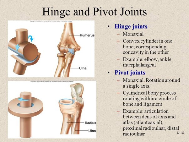 Pivot Joints | McMaster-Carr