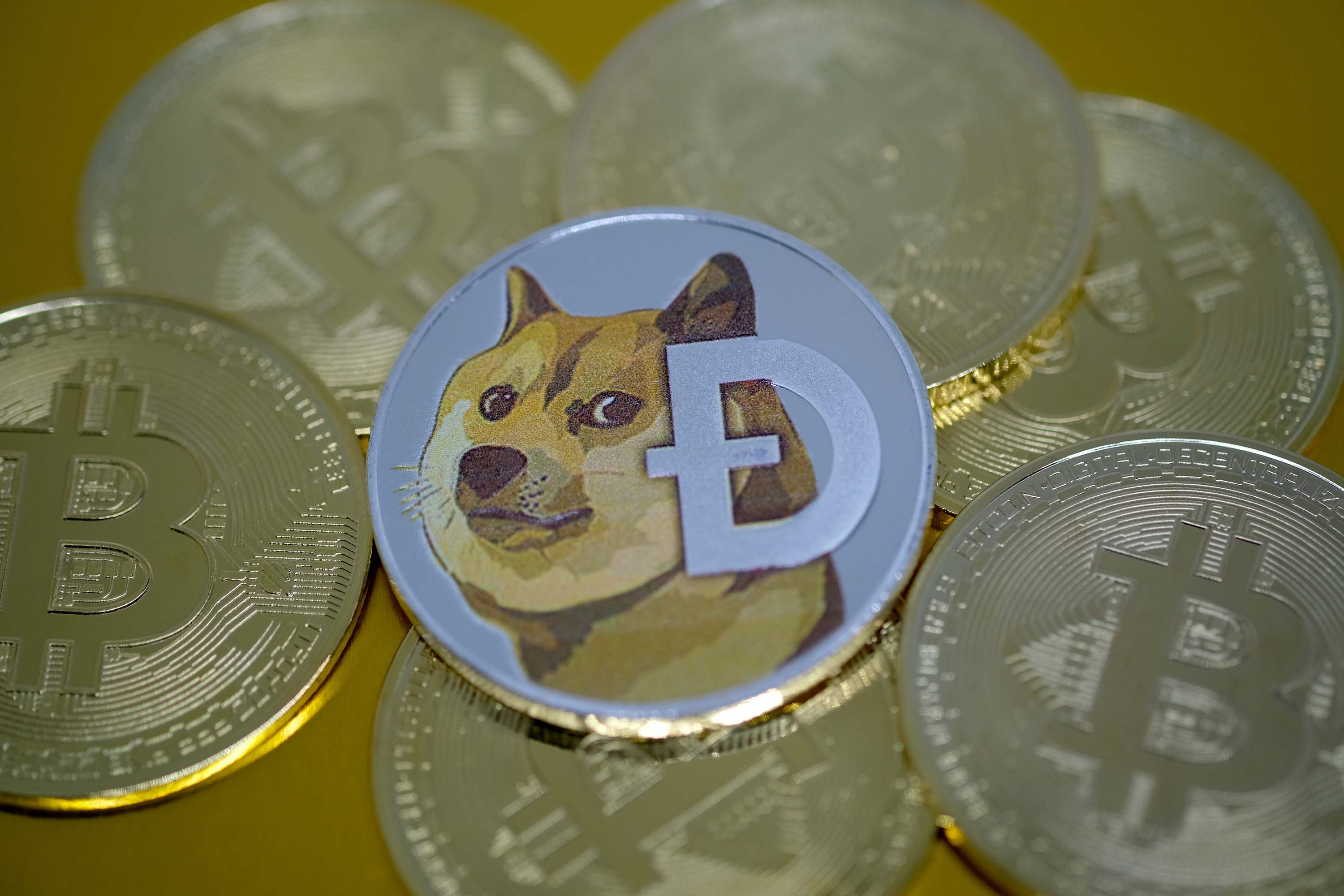 Elon Musk is accused of insider trading by investors in Dogecoin lawsuit | CNN Business