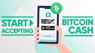 Bitcoin Cash Wallet Choosing Guide - How to Find the Best and Most Secure BCH Wallet App