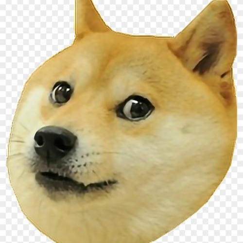 Doge (meme) - Wikipedia
