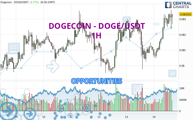 DOGE USDT | Spot Trading | helpbitcoin.fun