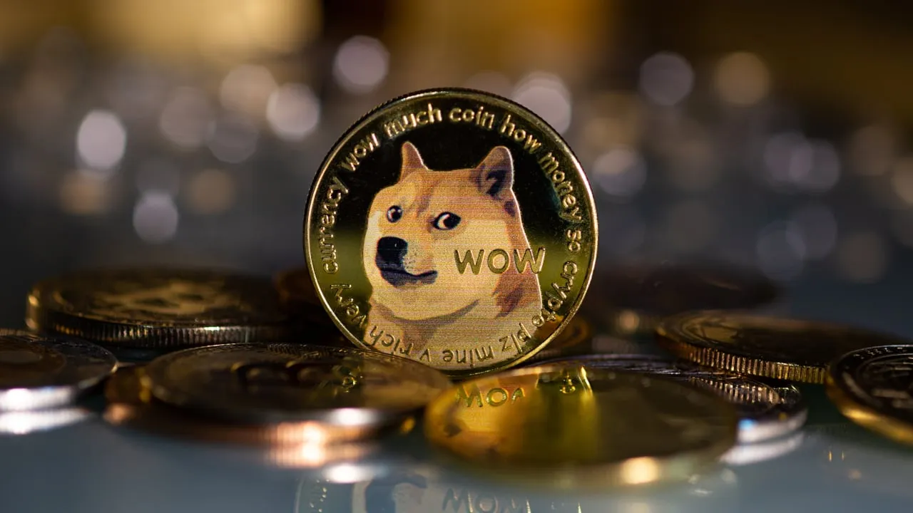 Dogecoin plunges after rally, sparking outcry on Reddit - BNN Bloomberg