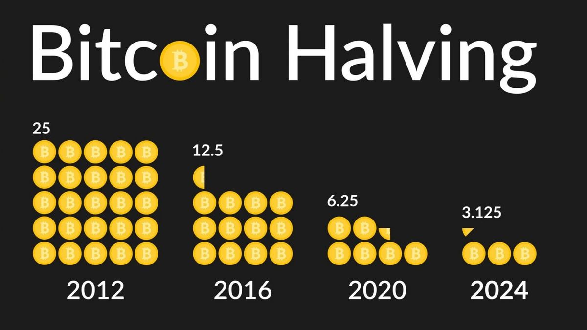 A guide on how to earn bitcoins or other cryptocurrencies without investment