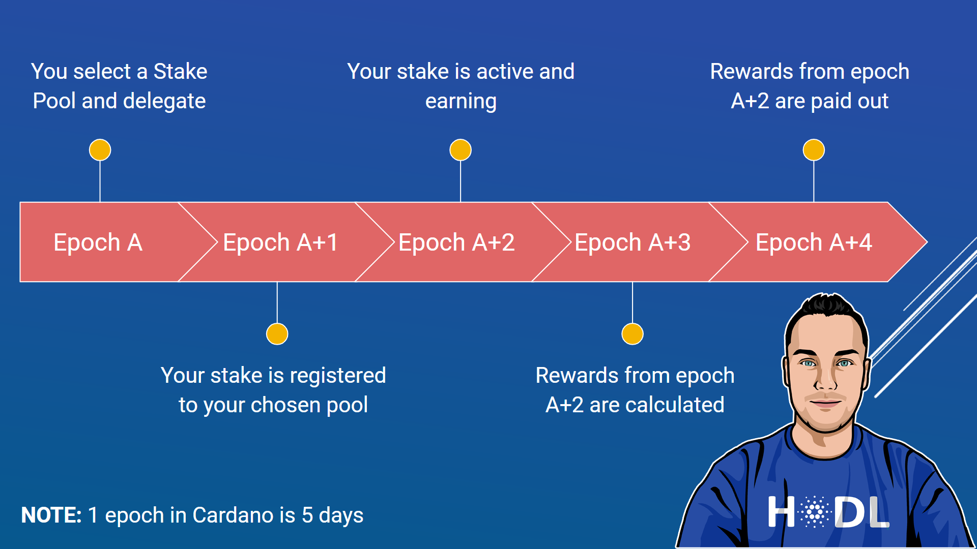 Earn Cardano Staking Rewards | Staked