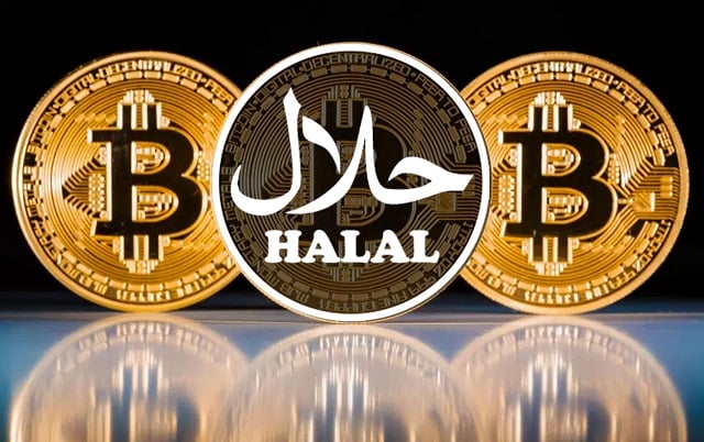 Halal Crypto Haram or Halal FAQs - IFG