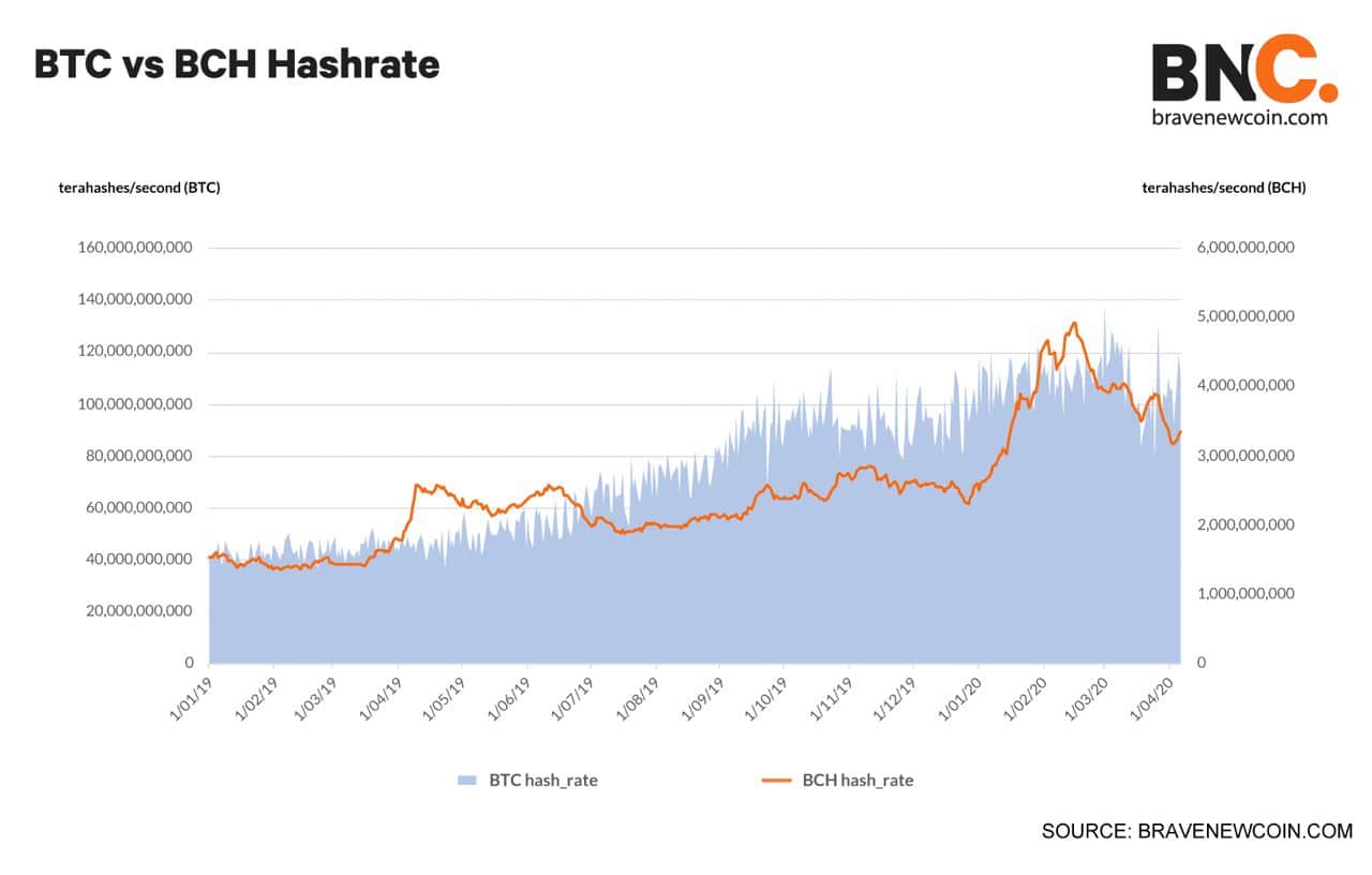 Upcoming Bitcoin Cash Halving Date - BCH Halving Countdown