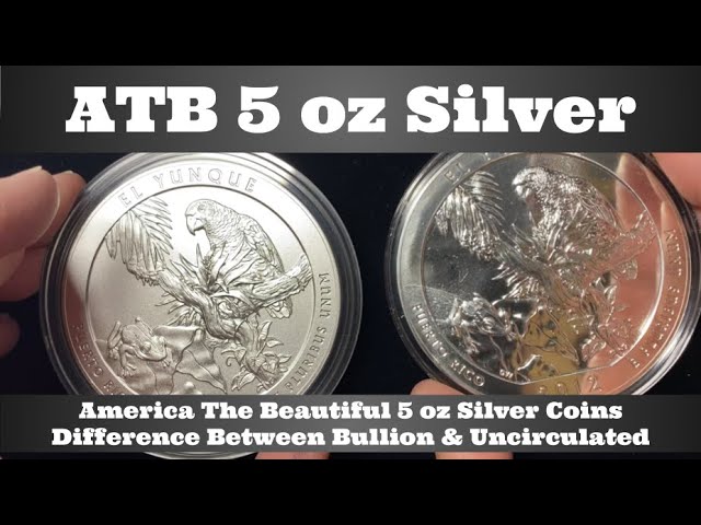 Silver America the Beautiful 5 oz Coins – Mount Vernon Coin