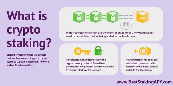 Crypto Staking: How to Stake Cryptocurrencies? Explained