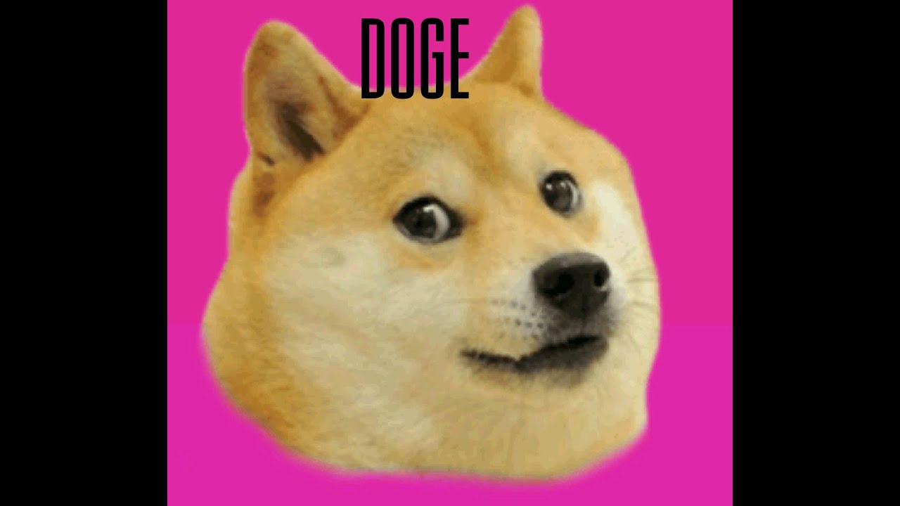 'Deathconsciousness' to Doge Memes: Have a Nice Life Revisit Cult-Classic Album | Revolver
