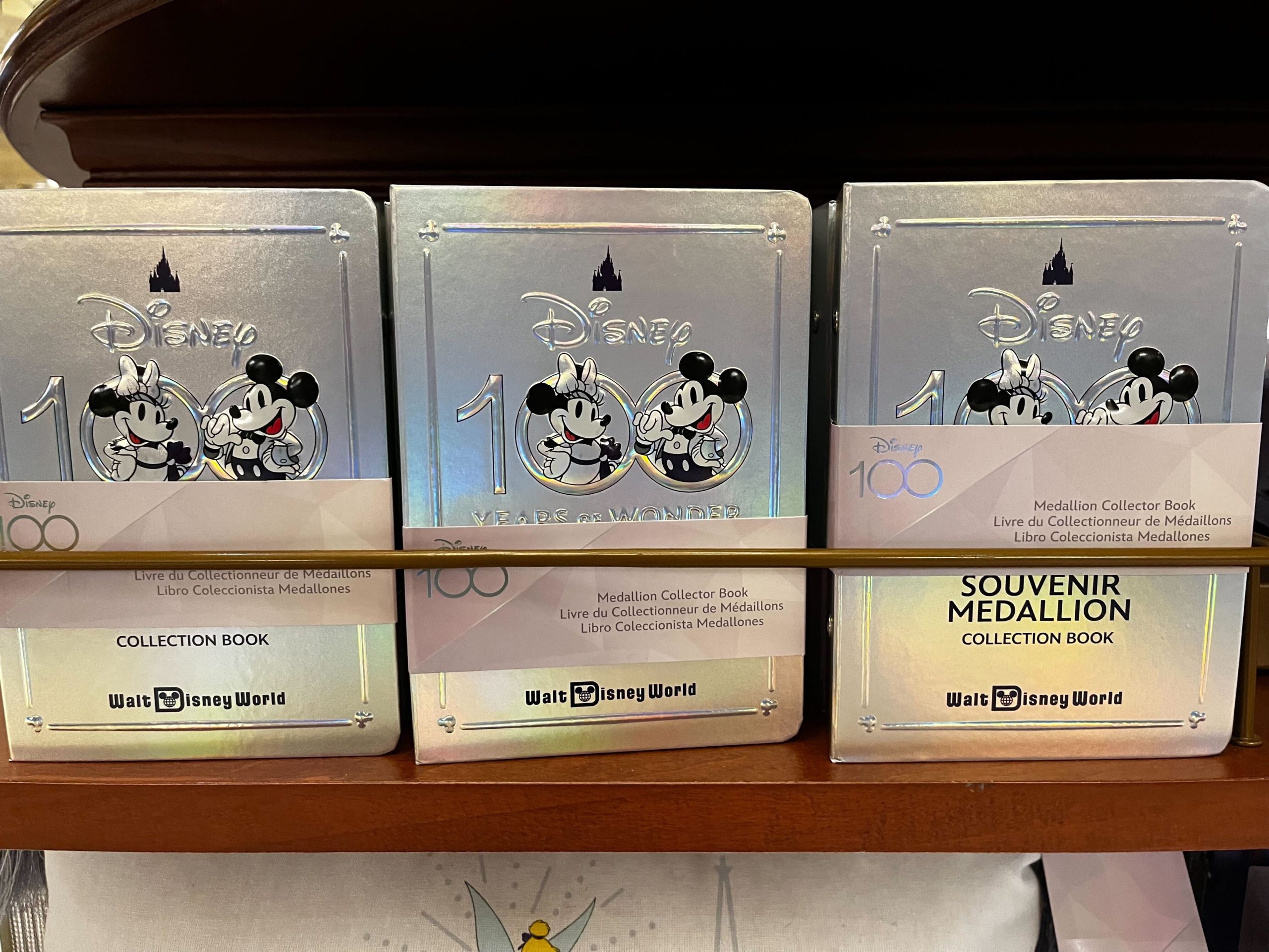 Disney Stretched Pressed Coin Collection Books