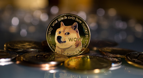 Buy Dogecoin: Where is the Best Place to Buy Dogecoin? | Investment U