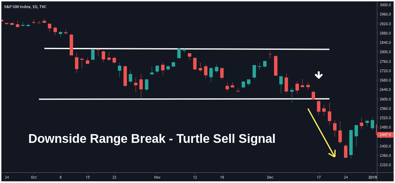 Turtle: What It Means, How It Works, Trading System