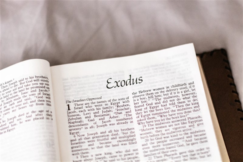 English to Bangla Meaning of exodus - প্রস্থান