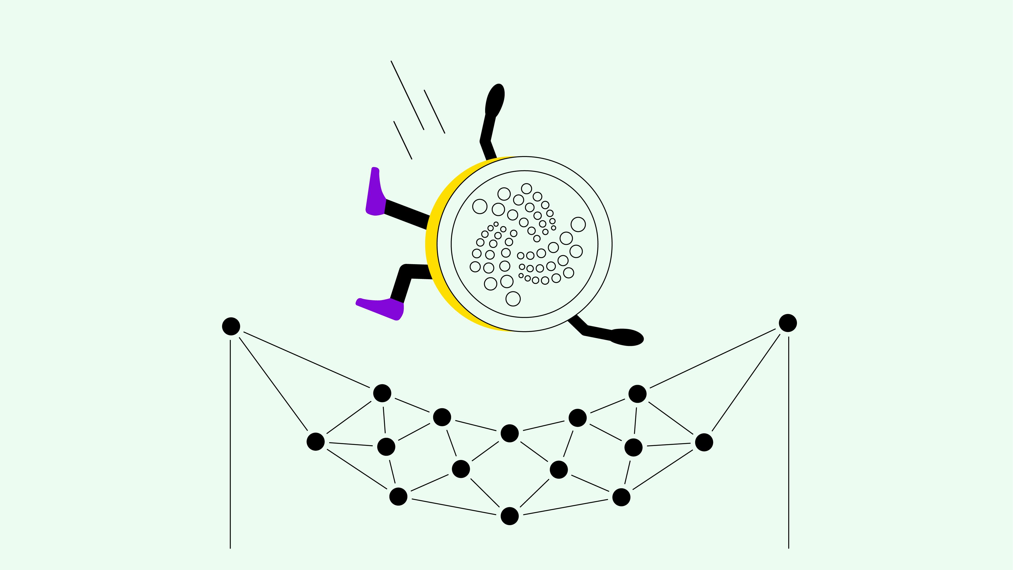 Bitpanda vs Bit2me: Features, Fees & More ()