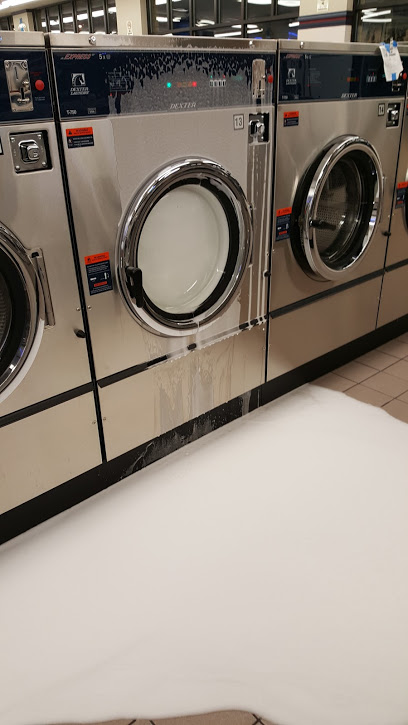 Ask the Kangaroo: Blue Kangaroo Laundromat FAQs