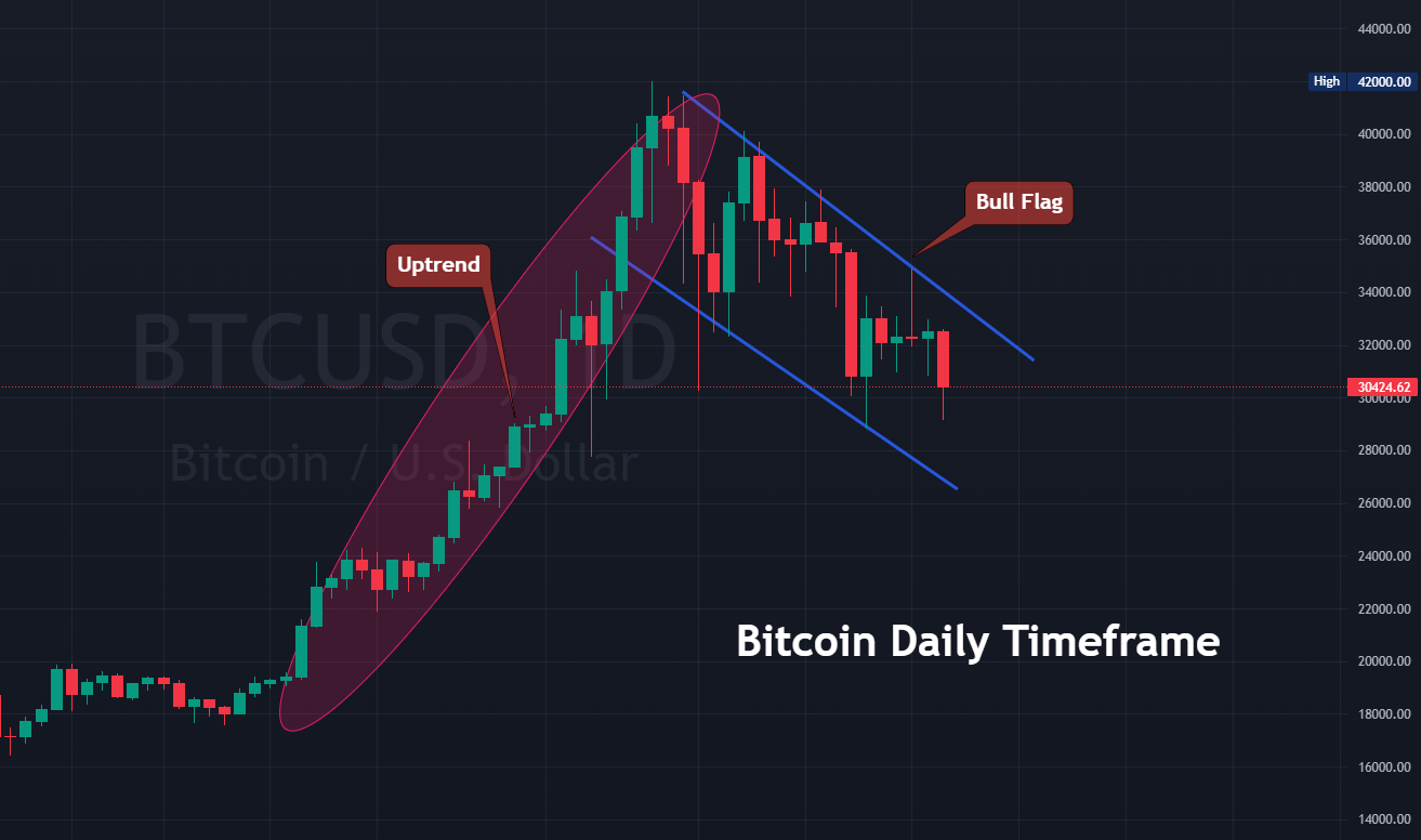 Bitcoin Price Raises Bull Flag in Preparation for Possible Move Higher