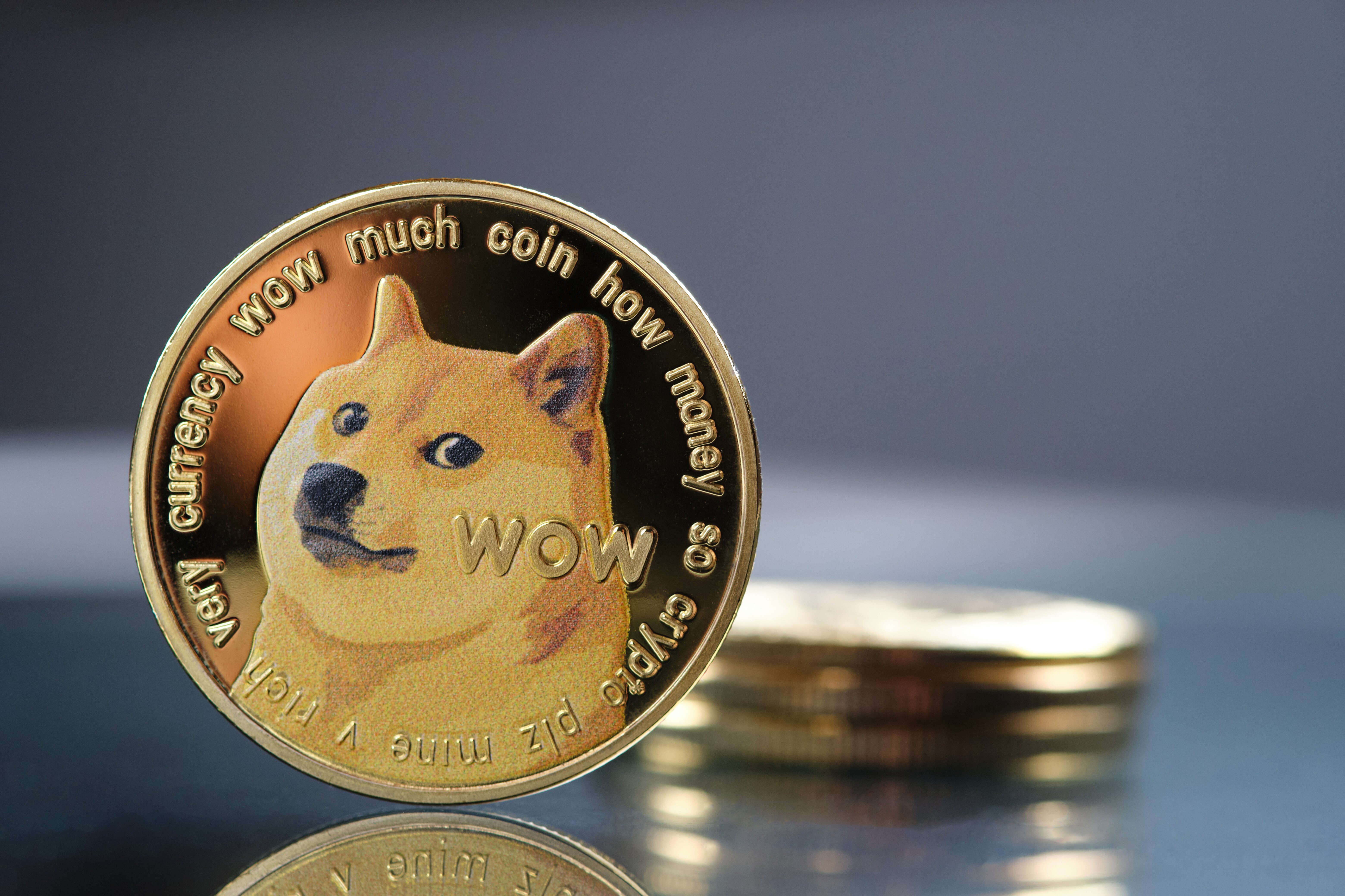 DOGE to USD Converter | Dogecoin to US Dollar Exchange Rates