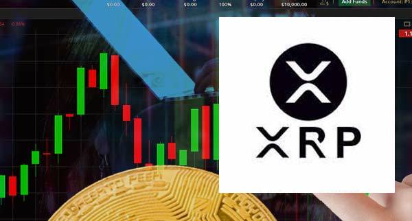 XRP Profit Calculator - XRP NEWS