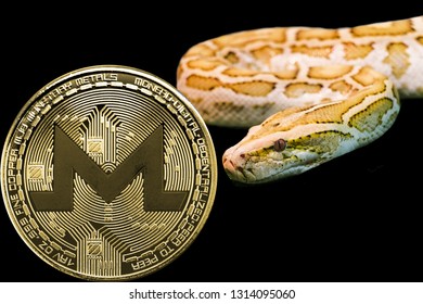 Snake Token Price Today - SNK to US dollar Live - Crypto | Coinranking