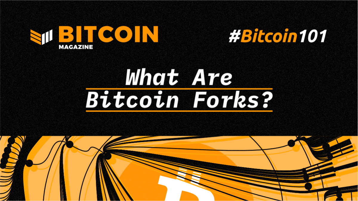 Recent and Upcoming Bitcoin Hard Forks | CoinCentral