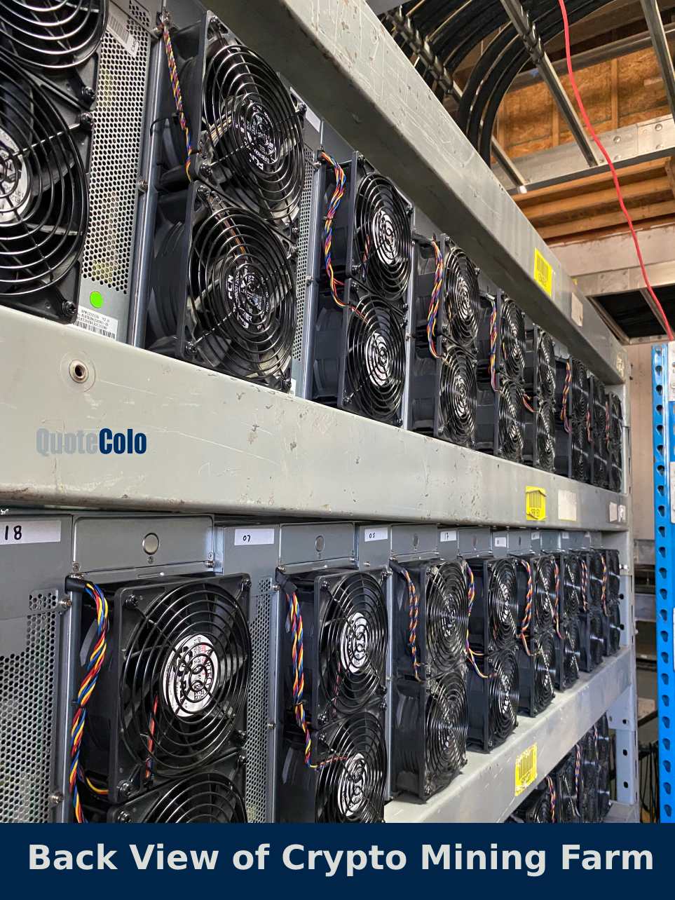 Bitcoin Mining Hosting & ASIC Hosting Services | D-Central