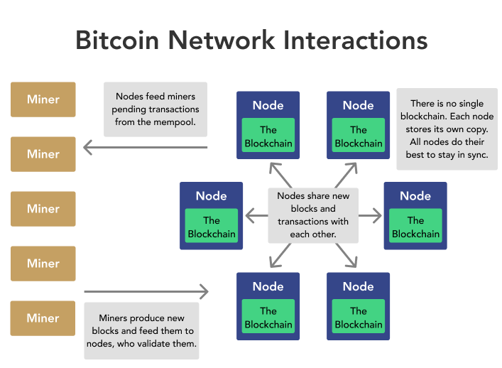 Blockchain Nodes