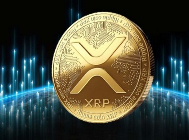 XRP Exchanges - Buy, Sell & Trade XRP | CoinCodex