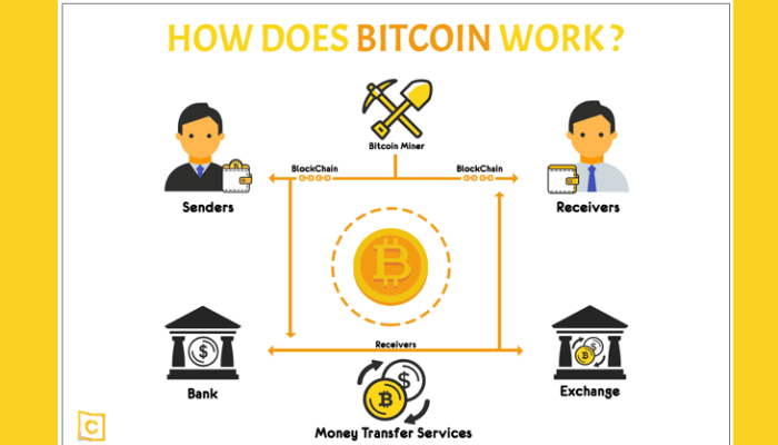 Bitcoin for Dummies: How Does BTC Work? | Gemini