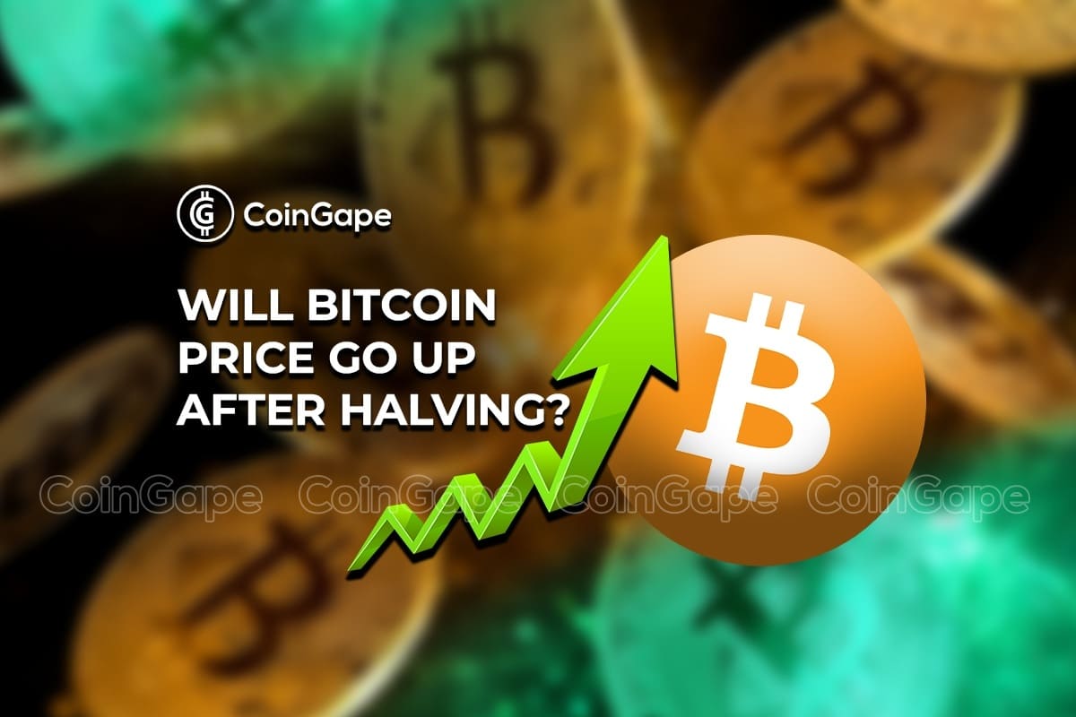 Bitcoin Price Prediction After Halving [What To Expect] | CoinCodex