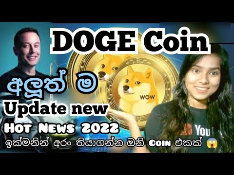 Plugins categorized as dogecoin | helpbitcoin.fun Sinhala