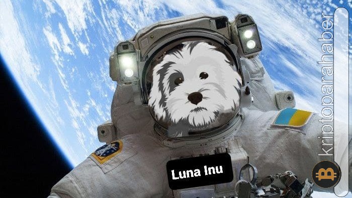 Luna Inu (LINU) live coin price, charts, markets & liquidity