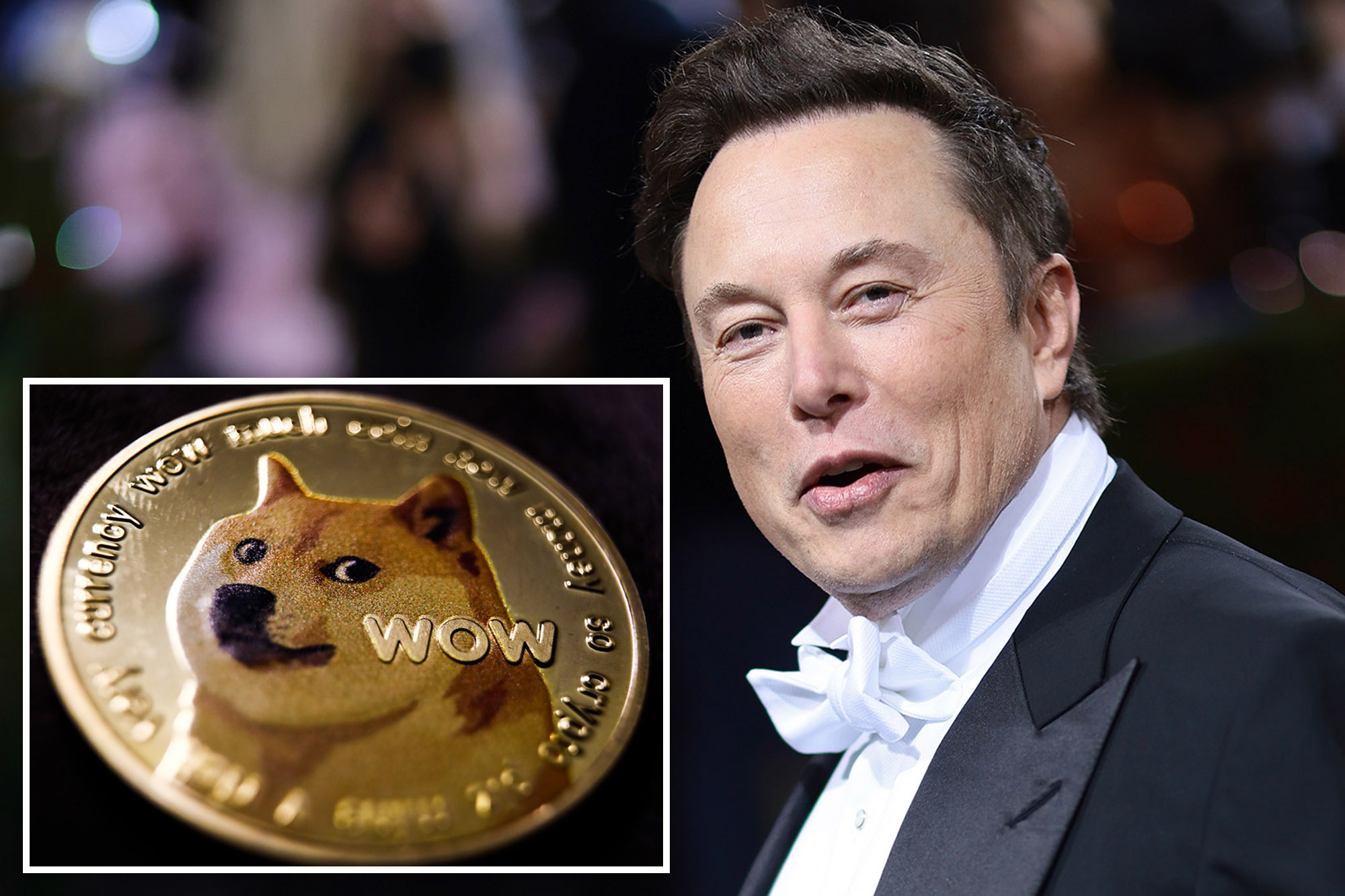 Elon Musk advocates Dogecoin as a potential currency