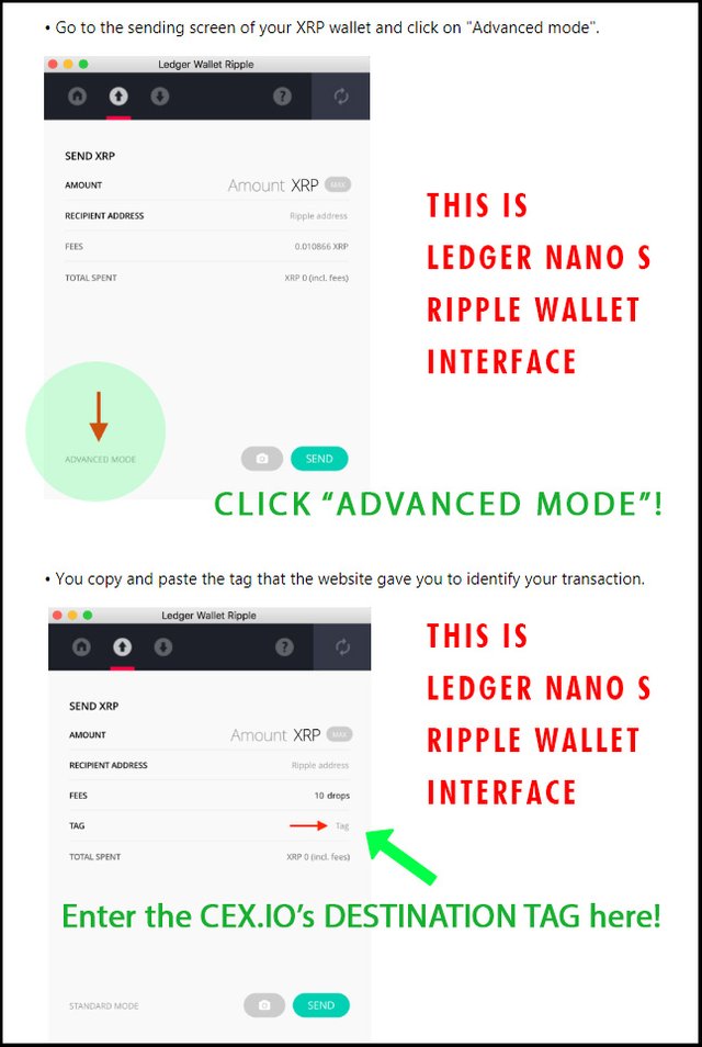 XRP Ledger (Ripple) • BitGo Docs