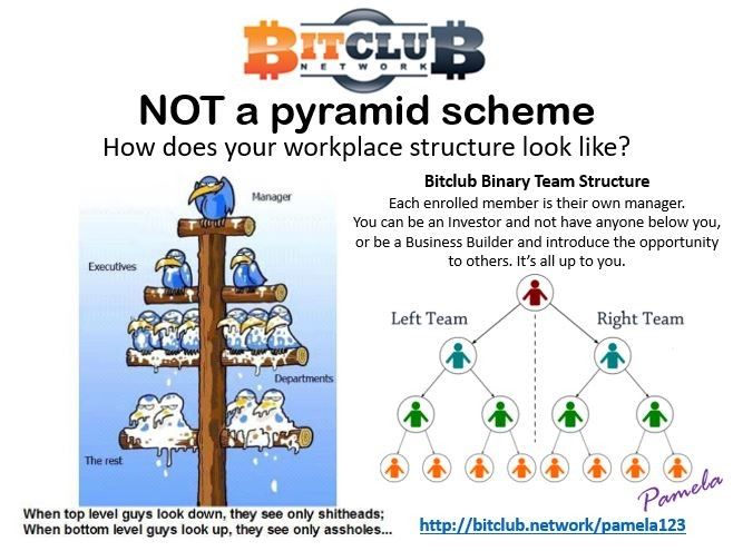 My Big Cryptocurrency Pyramid Scheme | AIER