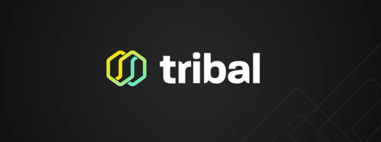 Tribal Token (TRIBL) ICO Funding Rounds, Token Sale Review & Tokenomics Analysis | helpbitcoin.fun