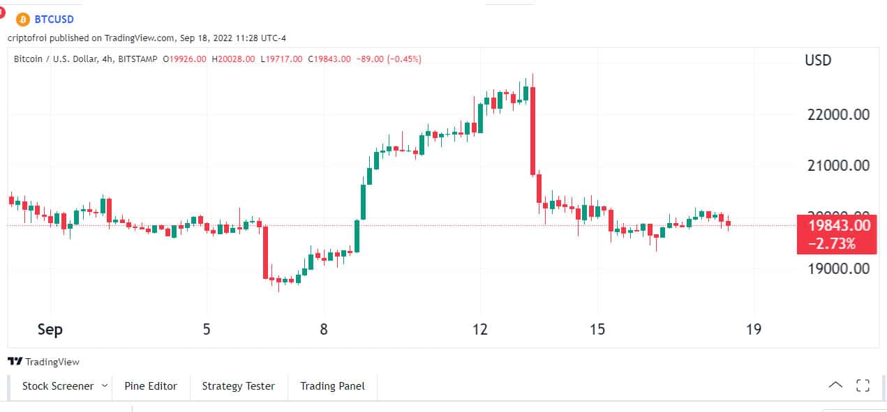 Convert Bitcoin to USD | Bitcoin price in US Dollars | Revolut Australia