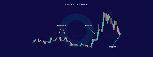 Support : Cryptohopper