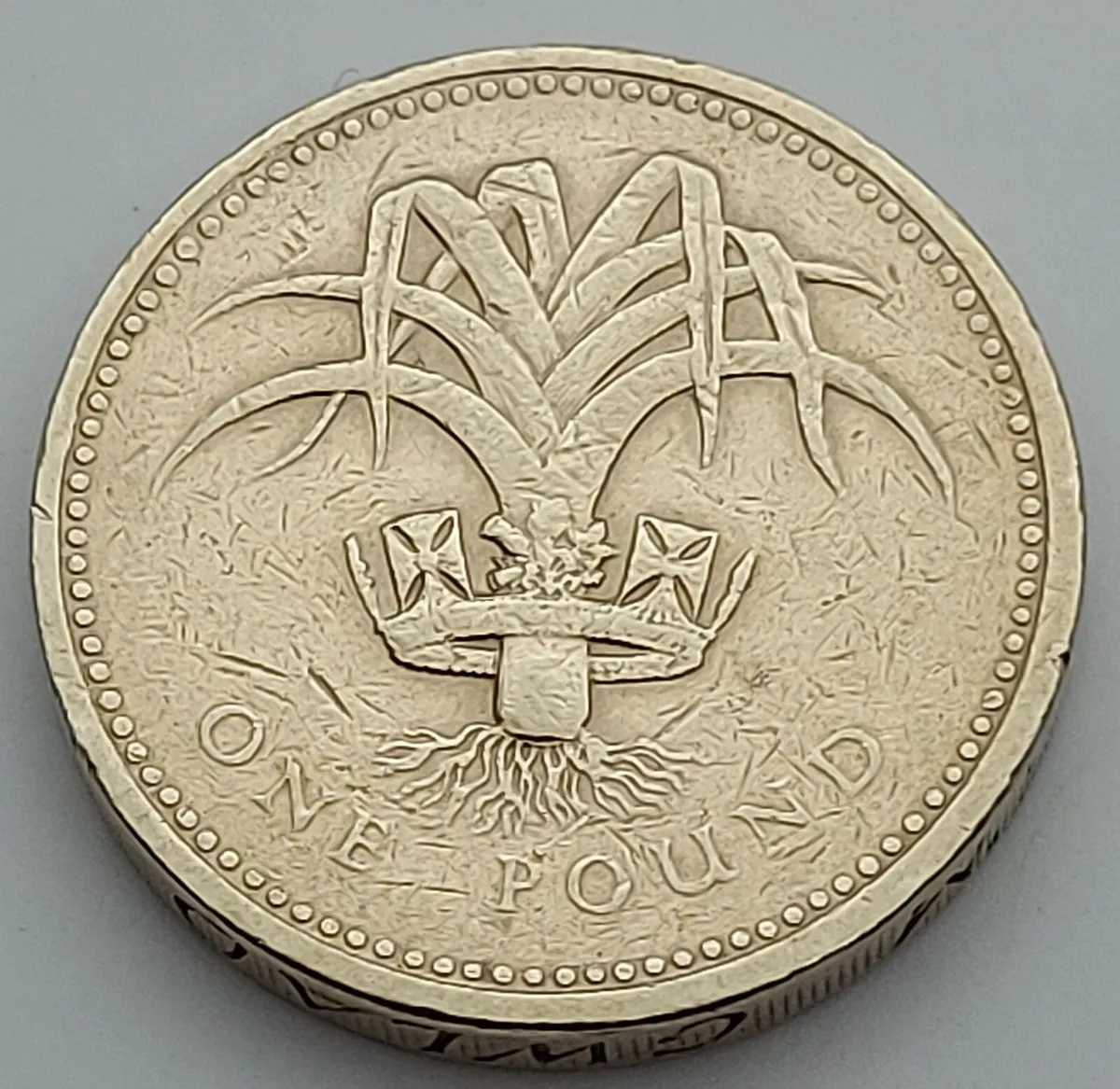 Piedfort Silver Welsh Leek £1 : Royal Mint | The Britannia Coin Company