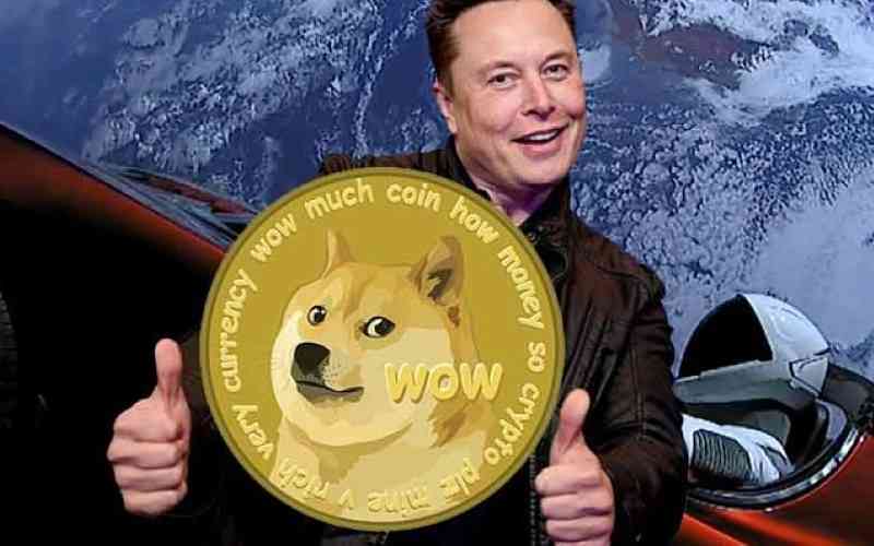 Elon Musk Breaks Silence on Crypto, Warns Against Dogecoin Speculation - Blockworks