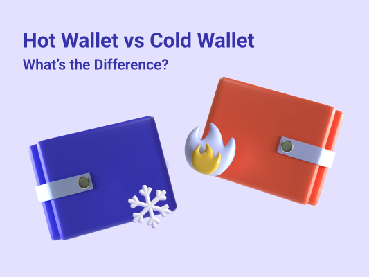 What is Hot Wallet? Definition & Meaning | Crypto Wiki