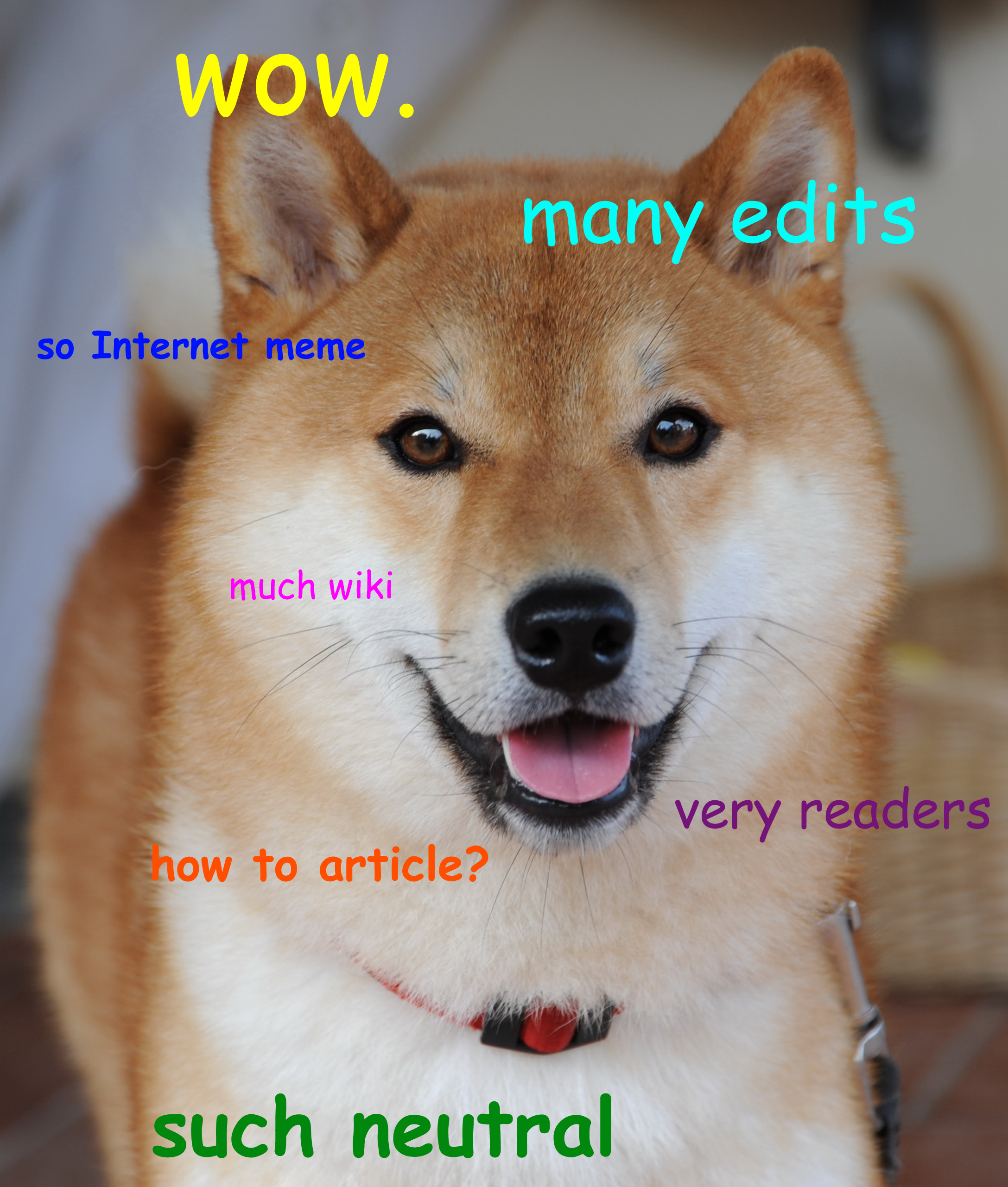 Doge (meme) - Wikipedia