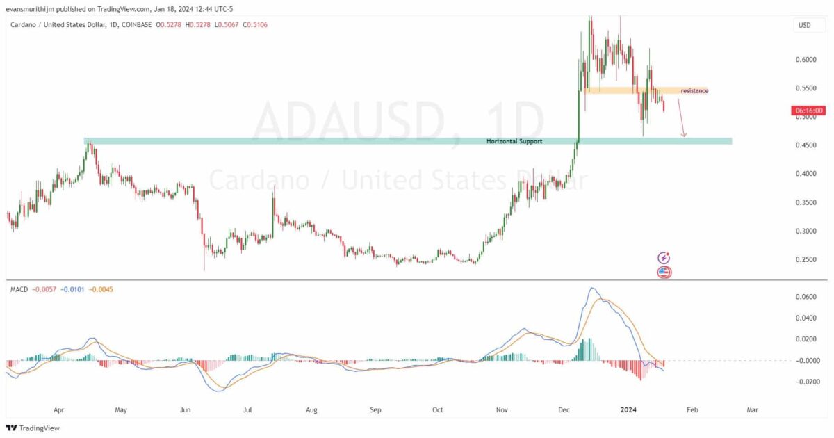 0xWhale (WHALE) Price Prediction for - - - - BitScreener